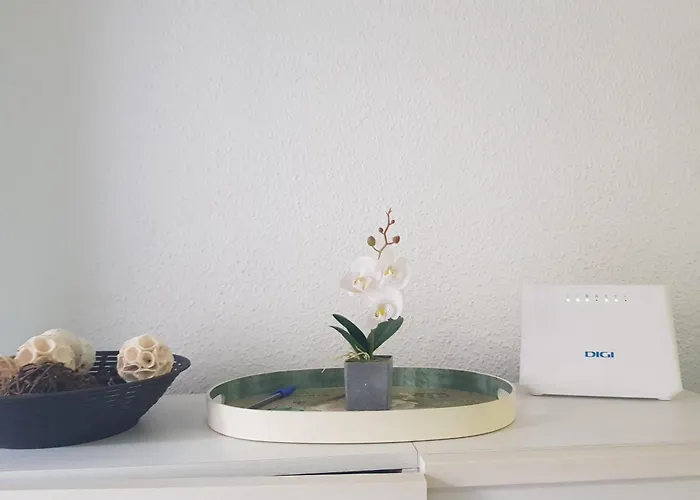 Apartmán Alma Brizo Suites *